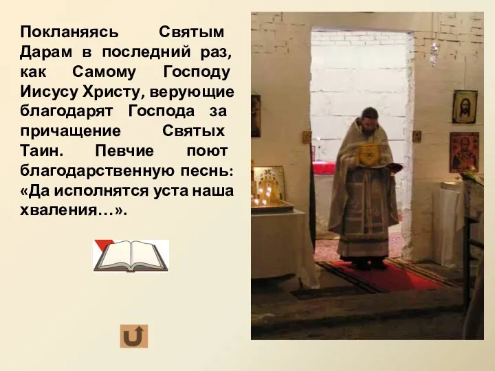 Покланяясь Святым Дарам в последний раз, как Самому Господу Иисусу Христу,