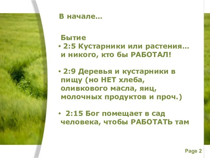 В начале… Бытие 2:5 Кустарники или растения… и никого, кто бы