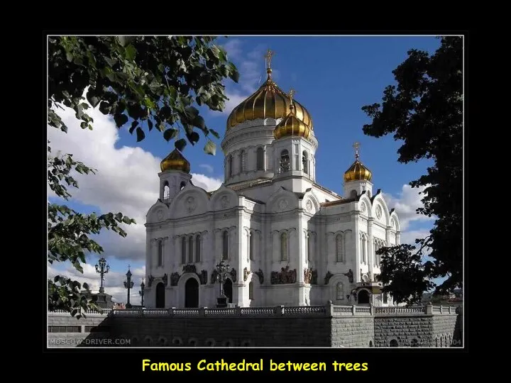 Famous Cathedral between trees