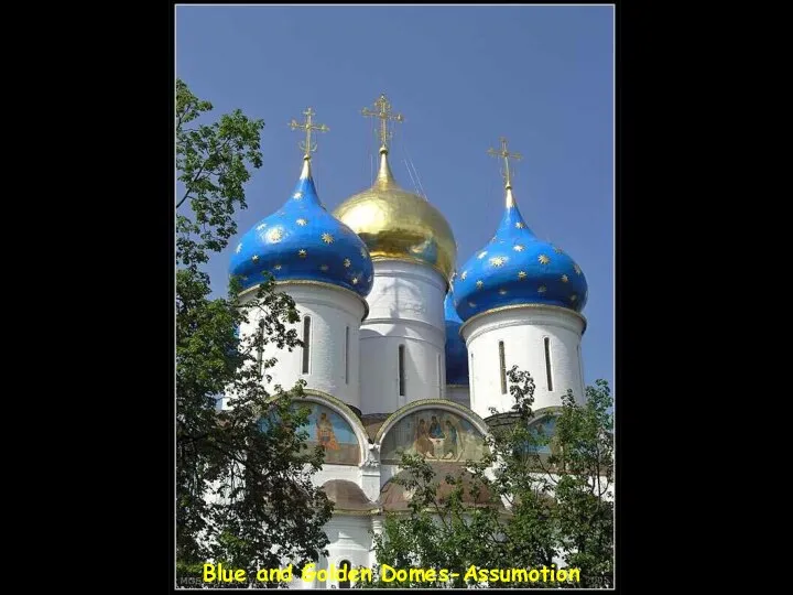 Blue and Golden Domes-Assumotion