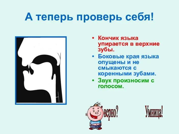 А теперь проверь себя! Кончик языка упирается в верхние зубы. Боковые