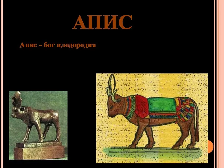 АПИС Апис - бог плодородия. В некоторые периоды Апис почитался как