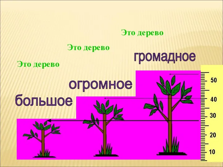 Это дерево большое огромное громадное Это дерево Это дерево