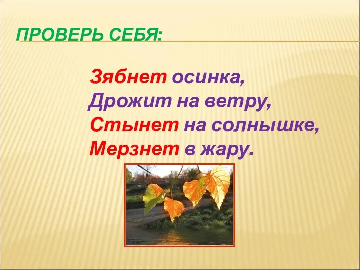 ПРОВЕРЬ СЕБЯ: Зябнет осинка, Дрожит на ветру, Стынет на солнышке, Мерзнет в жару.