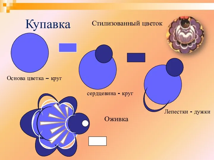 Купавка Стилизованный цветок Основа цветка – круг сердцевина - круг Оживка Лепестки - дужки