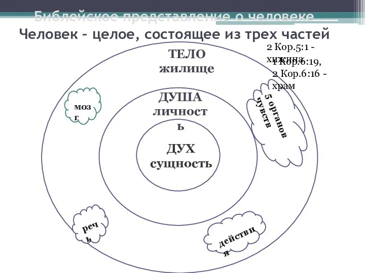 Библейское представление о человеке Человек – целое, состоящее из трех частей