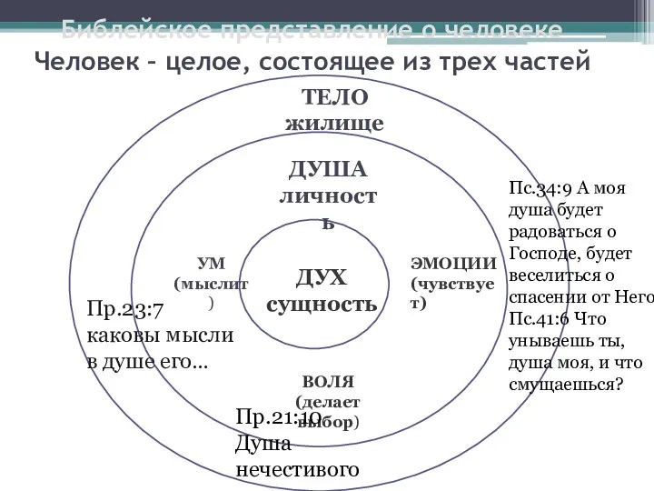 Библейское представление о человеке Человек – целое, состоящее из трех частей