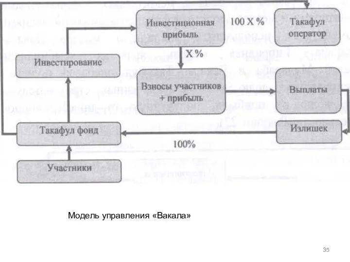 Модель управления «Вакала»