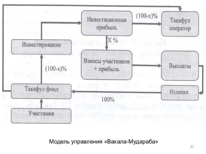 Модель управления «Вакала-Мудараба»