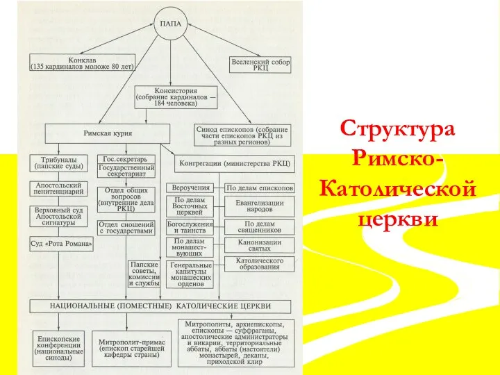 Структура Римско- Католической церкви