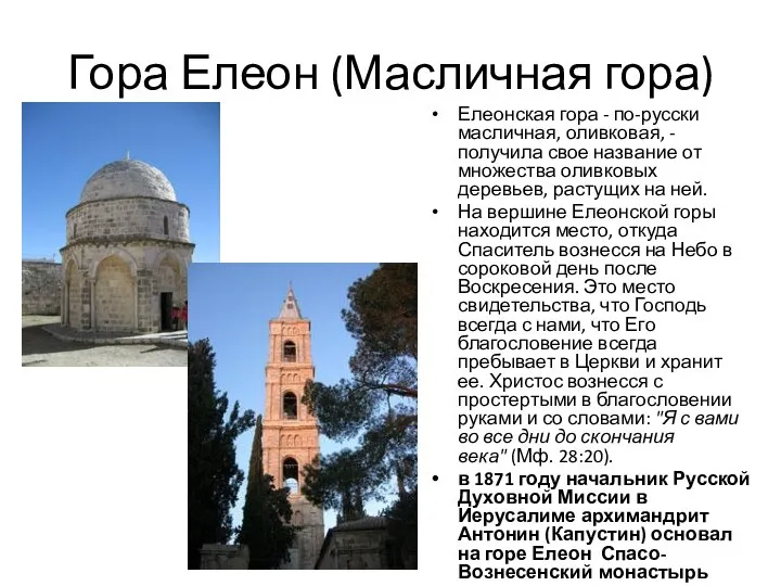 Гора Елеон (Масличная гора) Елеонская гора - по-русски масличная, оливковая, -