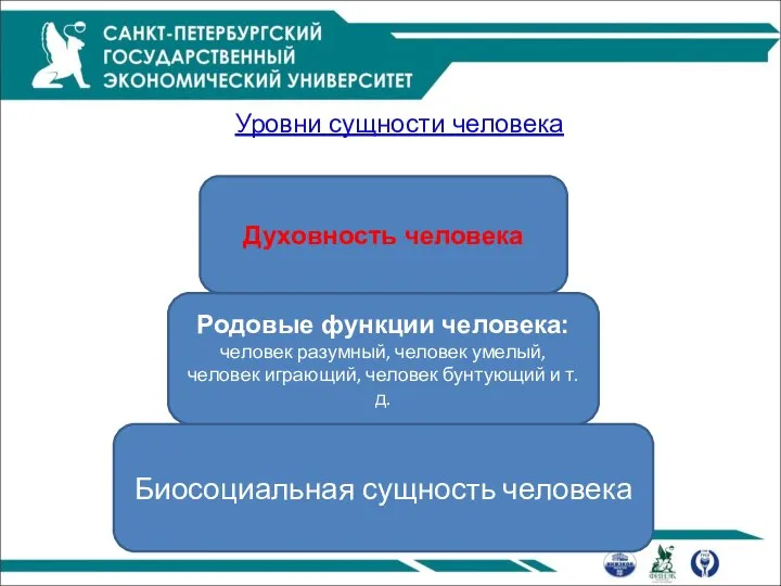 Уровни сущности человека Биосоциальная сущность человека Родовые функции человека: человек разумный,