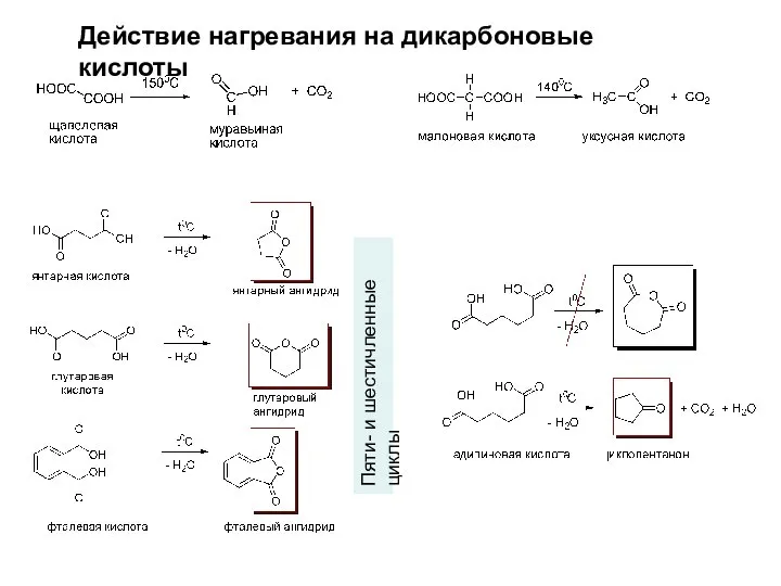 Действие нагревания на дикарбоновые кислоты Пяти- и шестичленные циклы