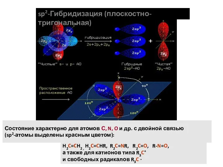 sp2-Гибридизация (плоскостно-тригональная) Состояние характерно для атомов С, N, O и др.