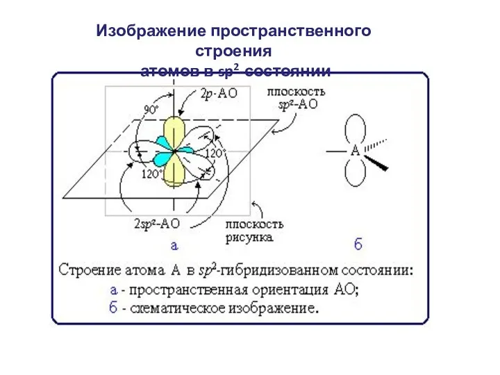 Изображение пространственного строения атомов в sp2-состоянии