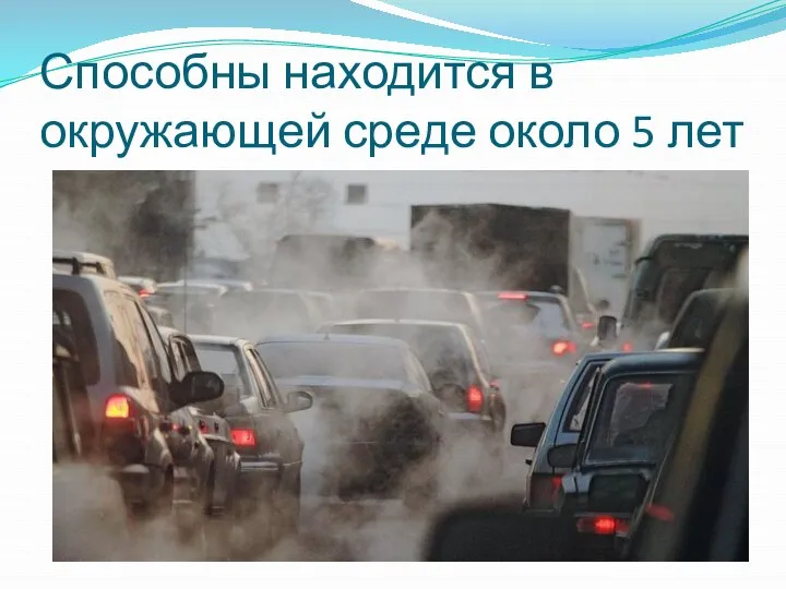 Способны находится в окружающей среде около 5 лет