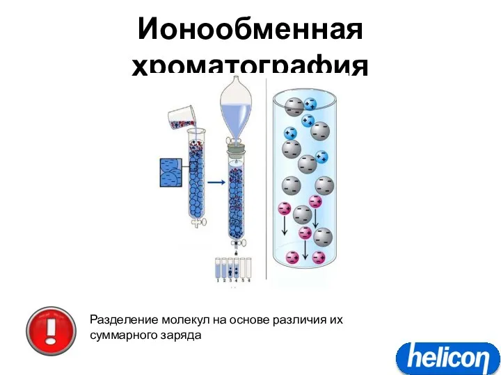 Ионообменная хроматография Разделение молекул на основе различия их суммарного заряда