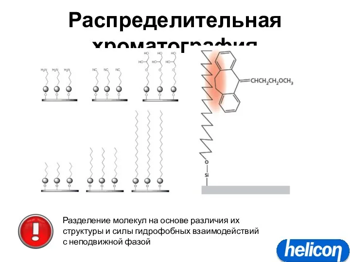 Распределительная хроматография Разделение молекул на основе различия их структуры и силы гидрофобных взаимодействий с неподвижной фазой