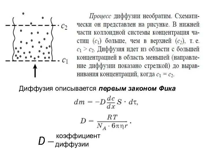 Диффузия описывается первым законом Фика коэффициент диффузии