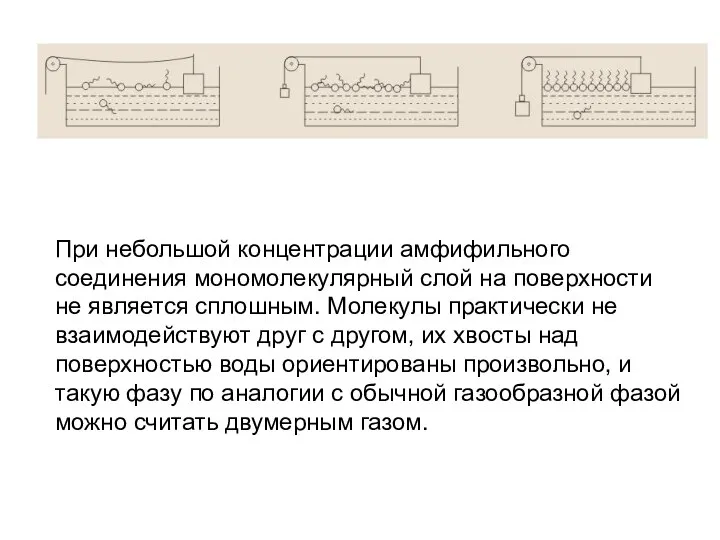 При небольшой концентрации амфифильного соединения мономолекулярный слой на поверхности не является