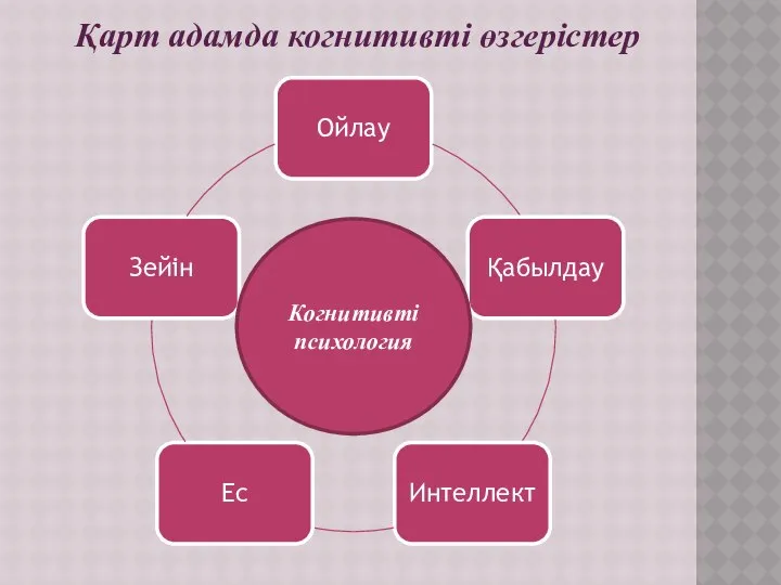 Қарт адамда когнитивті өзгерістер Когнитивті психология