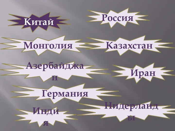 Китай Россия Монголия Казахстан Азербайджан Иран Германия Нидерланды Индия