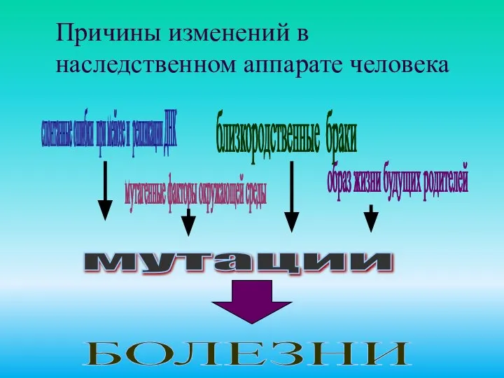 Причины изменений в наследственном аппарате человека мутации спонтанные ошибки при мейозе