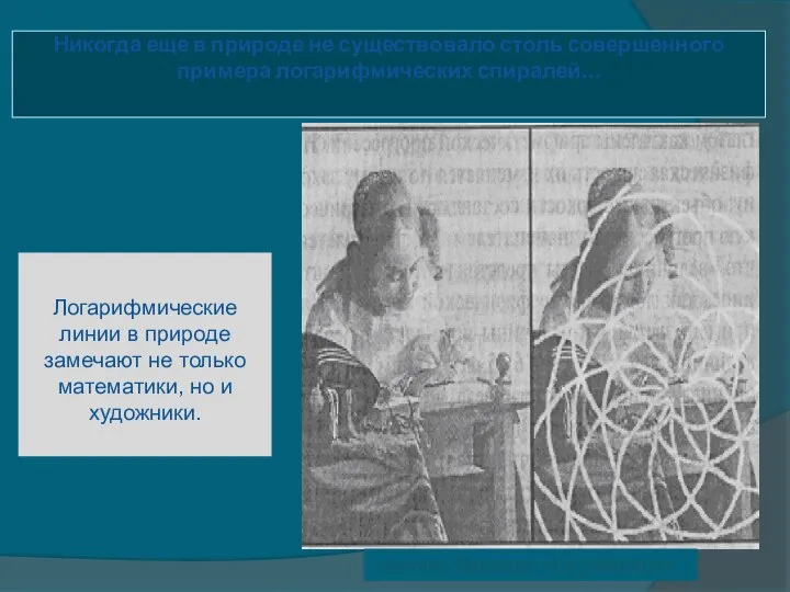 Логарифмические линии в природе замечают не только математики, но и художники.