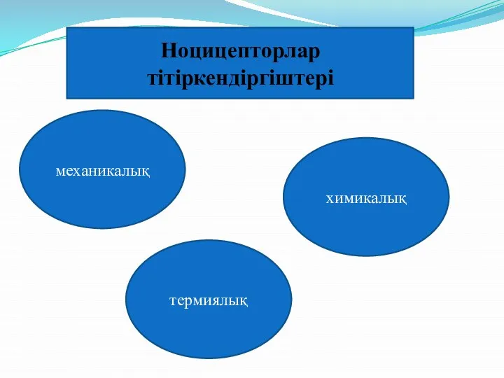 Ноцицепторлар тітіркендіргіштері механикалық термиялық химикалық