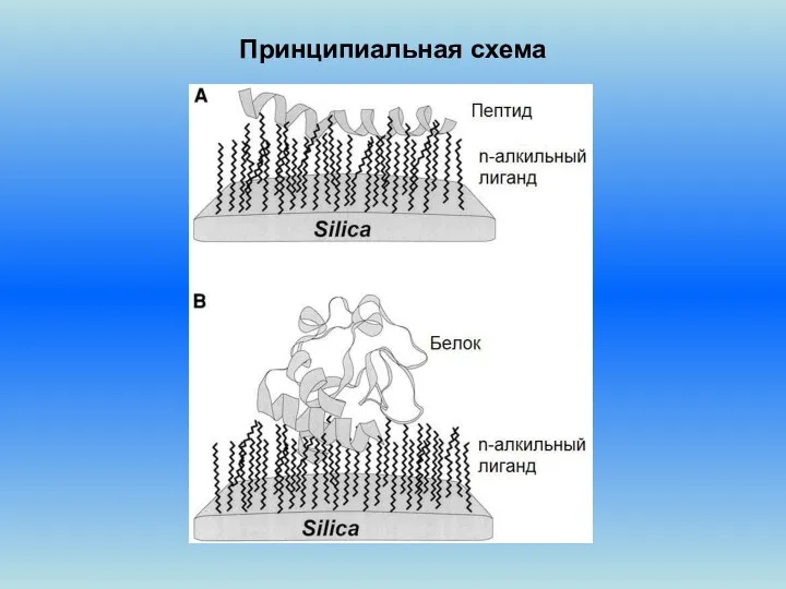 Принципиальная схема