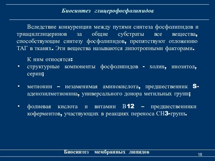 Биосинтез глицерофосфолипидов Биосинтез мембранных липидов Вследствие конкуренции между путями синтеза фосфолипидов