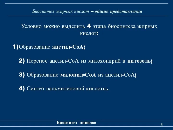 Биосинтез жирных кислот – общие представления Биосинтез липидов Условно можно выделить