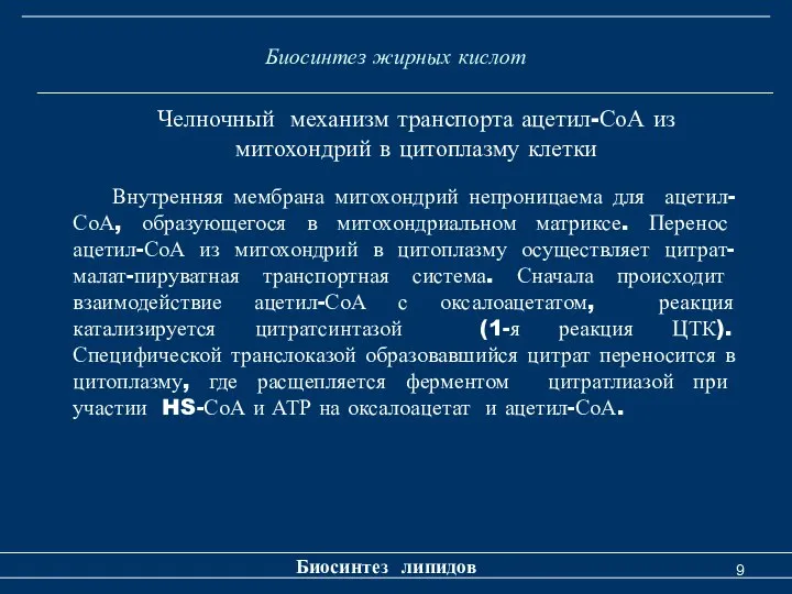 Биосинтез жирных кислот Биосинтез липидов Челночный механизм транспорта ацетил-СоА из митохондрий