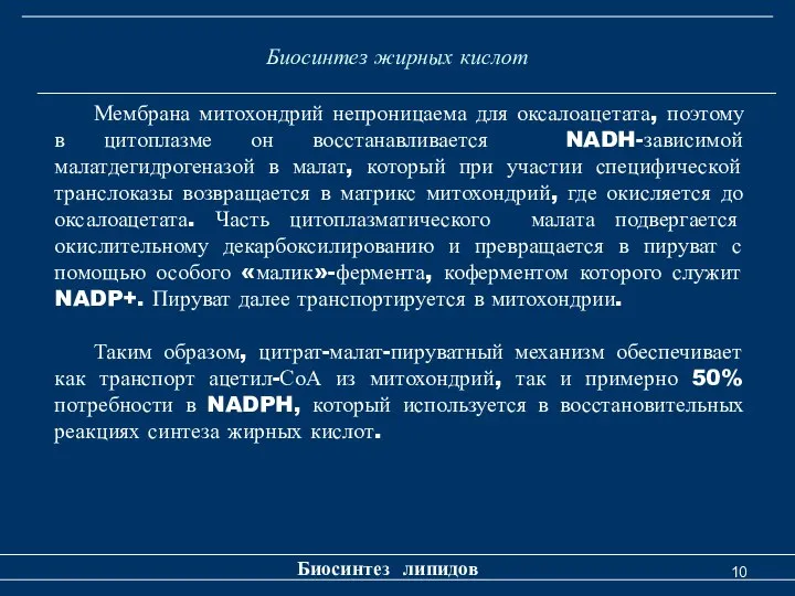 Биосинтез жирных кислот Биосинтез липидов Мембрана митохондрий непроницаема для оксалоацетата, поэтому