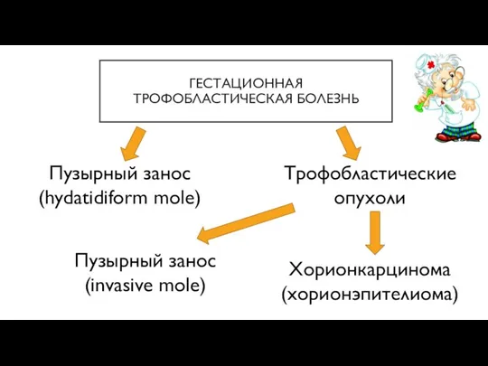 ГЕСТАЦИОННАЯ ТРОФОБЛАСТИЧЕСКАЯ БОЛЕЗНЬ Пузырный занос (hydatidiform mole) Трофобластические опухоли Пузырный занос (invasive mole) Хорионкарцинома (хорионэпителиома)