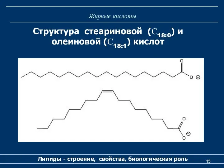 Жирные кислоты Липиды - строение, свойства, биологическая роль Структура стеариновой (С18:0) и олеиновой (С18:1) кислот