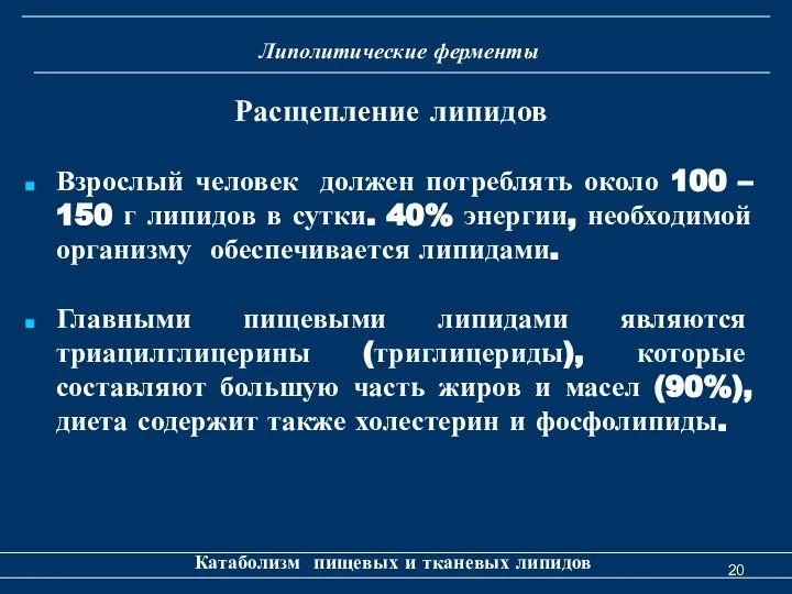 Липолитические ферменты Катаболизм пищевых и тканевых липидов Расщепление липидов Взрослый человек