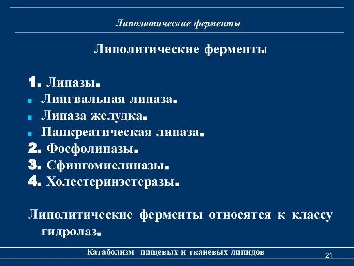 Липолитические ферменты Катаболизм пищевых и тканевых липидов Липолитические ферменты 1. Липазы.