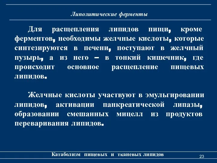 Липолитические ферменты Катаболизм пищевых и тканевых липидов Для расщепления липидов пищи,