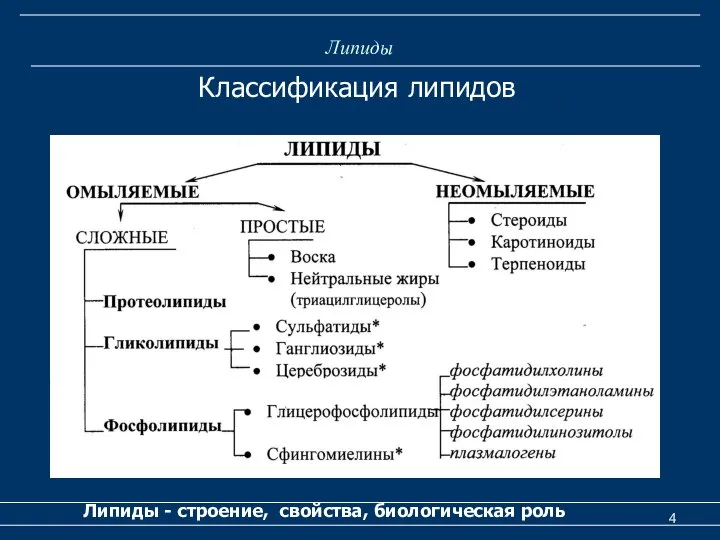 Липиды Липиды - строение, свойства, биологическая роль Классификация липидов