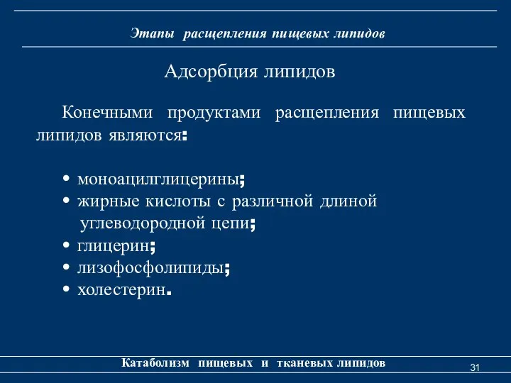 Этапы расщепления пищевых липидов Катаболизм пищевых и тканевых липидов Конечными продуктами