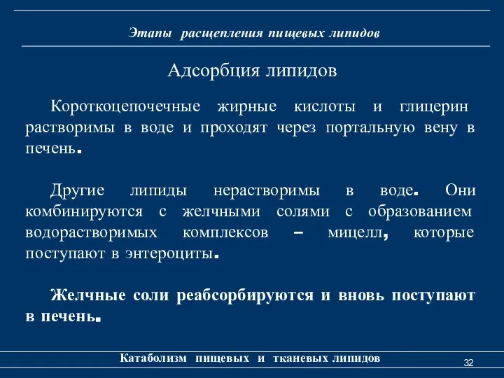 Этапы расщепления пищевых липидов Катаболизм пищевых и тканевых липидов Короткоцепочечные жирные