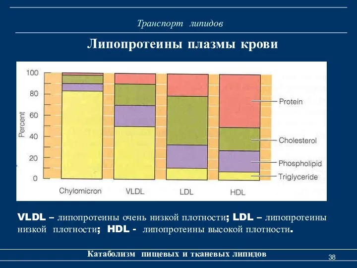 Транспорт липидов Катаболизм пищевых и тканевых липидов Липопротеины плазмы крови VLDL