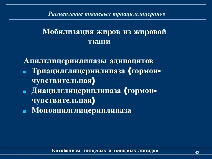 Расщепление тканевых триацилглицеринов Катаболизм пищевых и тканевых липидов Ацилглицеринлипазы адипоцитов Триацилглицеринлипаза