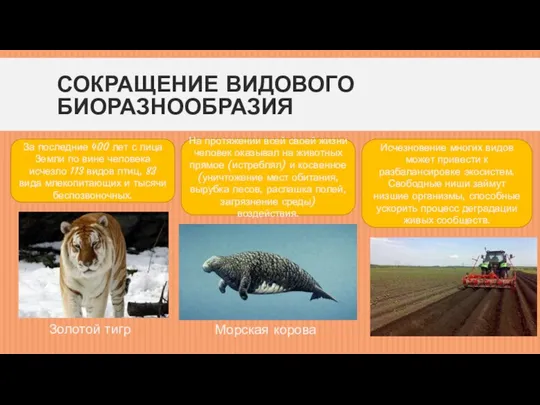 СОКРАЩЕНИЕ ВИДОВОГО БИОРАЗНООБРАЗИЯ На протяжении всей своей жизни человек оказывал на