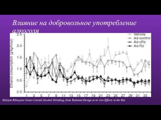 Влияние на добровольное употребление алкоголя Hairpin Ribozyme Genes Curtail Alcohol Drinking: