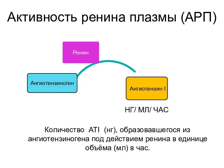 Активность ренина плазмы (АРП) Ренин Ангиотензин I Ангиотензиноген НГ/ МЛ/ ЧАС