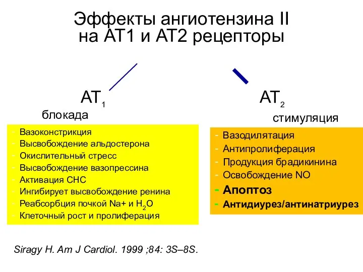 блокада AT2 AT1 Вазоконстрикция Высвобождение альдостерона Окислительный стресс Высвобождение вазопрессина Активация