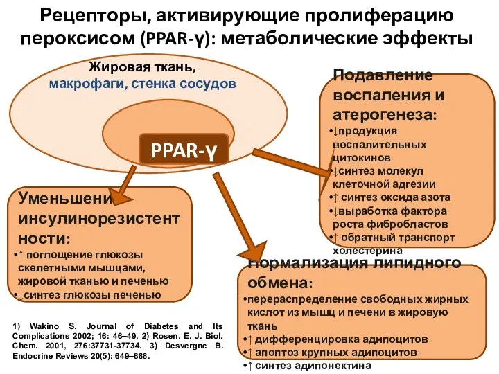 PPAR-γ Подавление воспаления и атерогенеза: ↓продукция воспалительных цитокинов ↓синтез молекул клеточной