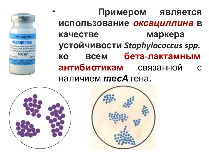 Примером является использование оксациллина в качестве маркера устойчивости Staphylococcus spp. ко